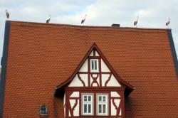 Marktbeobachter am 26. September