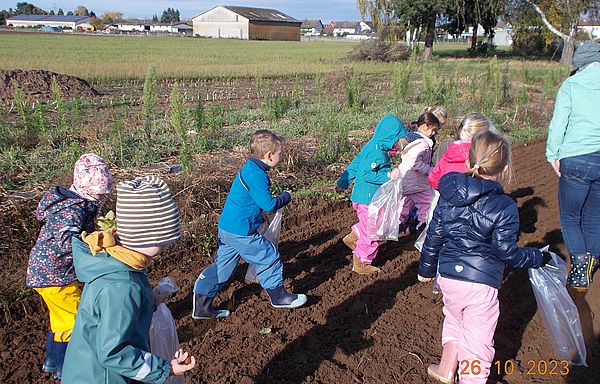 Bild "Wir über Uns:202310261.jpg"